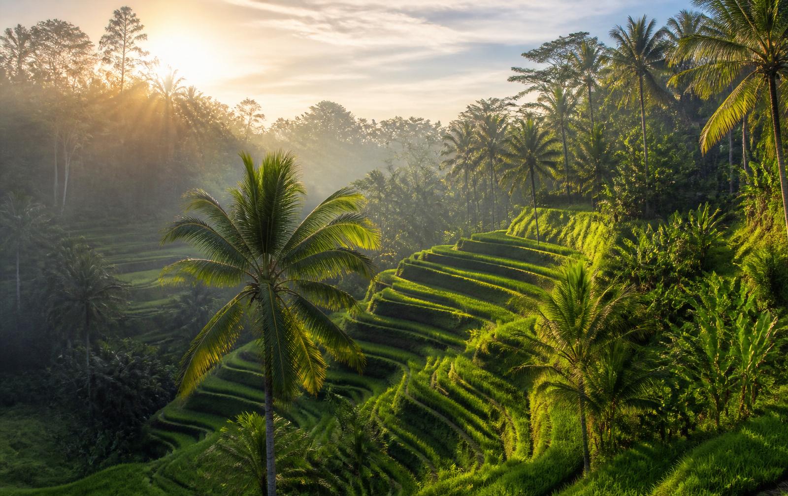 Bali